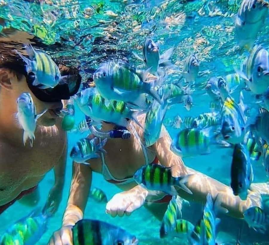 Bali : Snorkeling at two Spots with Lunch and transport - Private transport makes the eight-hour schedule easier