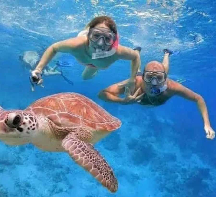 Bali : Snorkeling at two Spots with Lunch and transport - Who should book this day in Bali