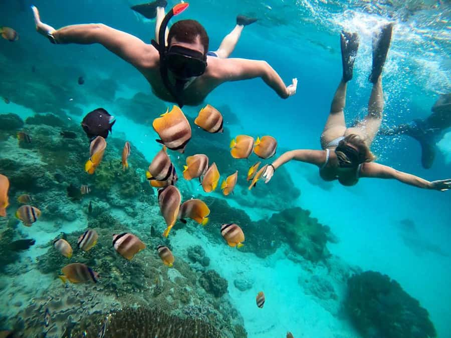 Bali Snorkeling: Blue Lagoon and Tanjung Jepun All Inclusive - Two reefs, one practical half-day from Bali