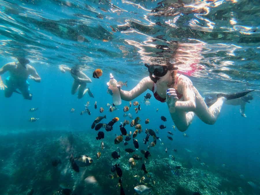 Bali Snorkeling: Blue Lagoon and Tanjung Jepun All Inclusive - Timing, crowds, and the best way to plan the day