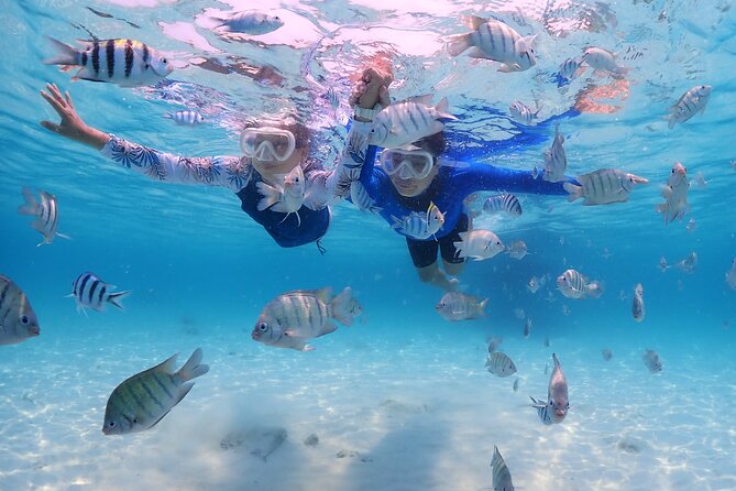 Bali Snorkeling Blue Lagoon with lunch &Optional waterfall Visit - Two snorkeling stops near Padang Bai