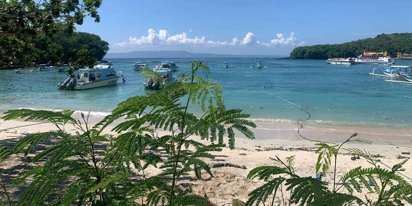 Bali: Snorkeling on 2 spots with Lunch and Transport - Key points to know before you book