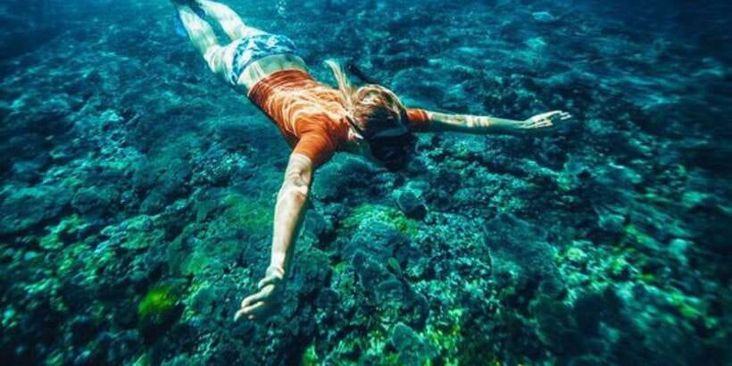 Bali: Snorkeling on 2 spots with Lunch and Transport - Tanjung Jepun: calmer water and coral gardens