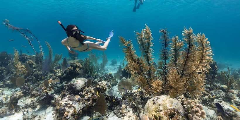Bali: Snorkeling on 2 spots with Lunch and Transport - Two hours in the water, with basic support