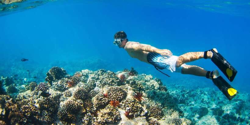 Bali: Snorkeling on 2 spots with Lunch and Transport - Indonesian lunch back at Blue Lagoon Beach