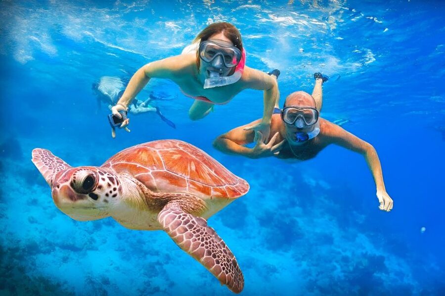 Bali: Snorkeling on 2 spots with Lunch and Transport - What the day feels like in practice