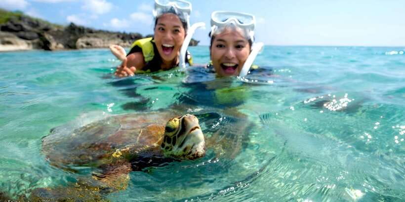 Bali: Snorkeling on 2 spots with Lunch and Transport - Who will get the most from this snorkeling trip