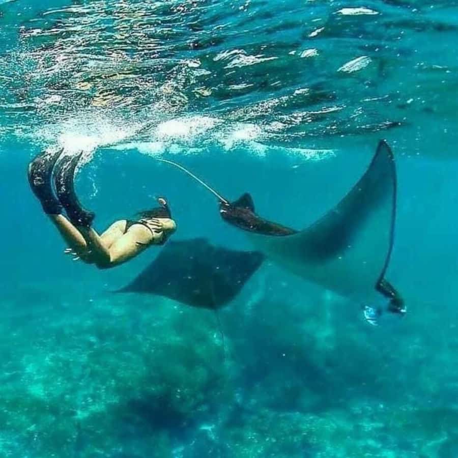 Bali southeast : Nusa Penida Full-Day Trip with Snorkeling - Key points to know before booking