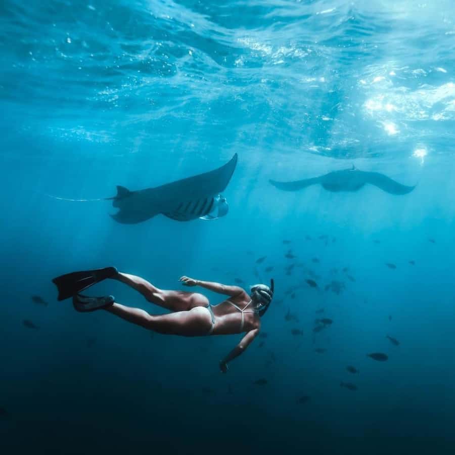 Bali southeast : Nusa Penida Full-Day Trip with Snorkeling - From southern Bali to Nusa Penida by speedboat