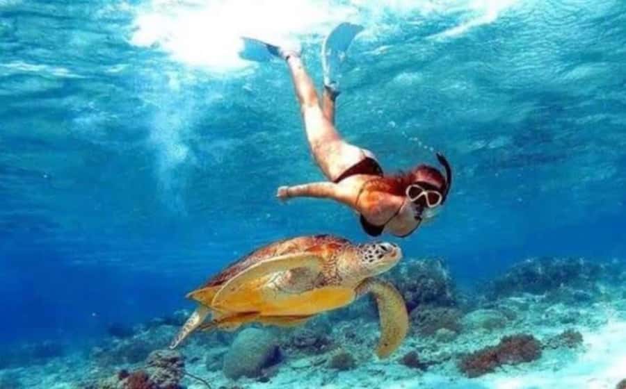 Bali southeast : Nusa Penida Full-Day Trip with Snorkeling - Lunch before Nusa Penida’s famous cliffs