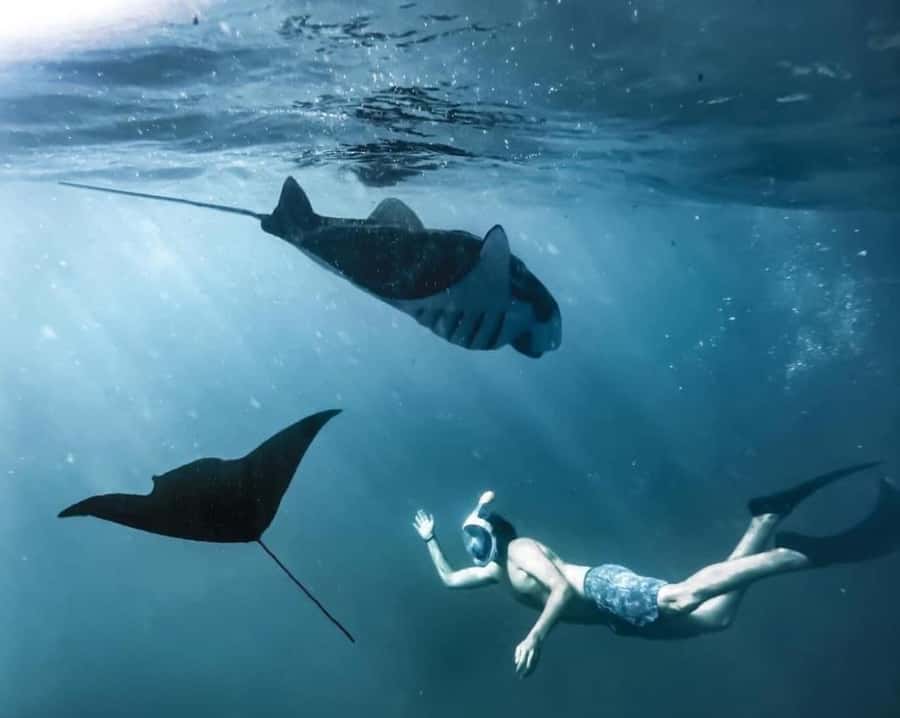 Bali southeast : Nusa Penida Full-Day Trip with Snorkeling - Kelingking Beach and the famous dinosaur-shaped cliff