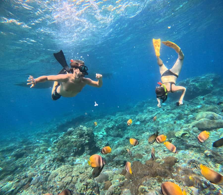 Bali southeast : Nusa Penida Full-Day Trip with Snorkeling - What to pack for the boat, beach, and car