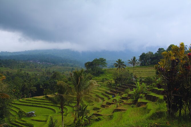 Bali Spiritual: Blessing Ceremony, Pristine Nature and Transfer - Eating lunch at a village warung