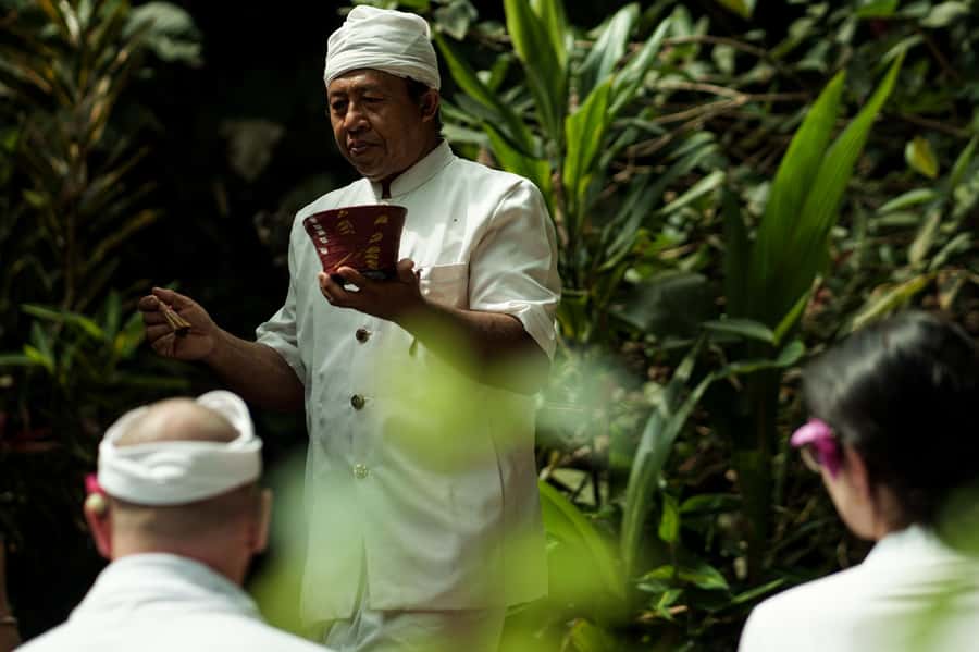 Bali Spiritual: Blessing Ceremony, Pristine Nature, Transfer - A quieter side of Bali near Mount Batukaru