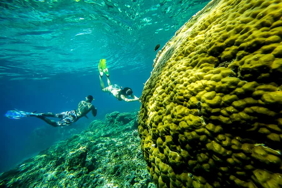 Bali: Swim with Manta Rays in Penida, Optional Lunch & Kayak - Key points to know before you book