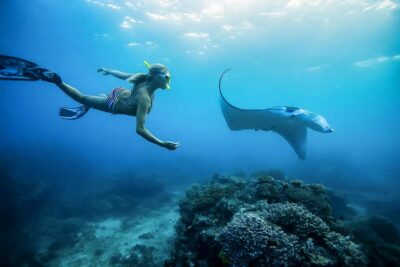 Swim with Manta Rays in Penida, Optional Lunch & Kayak