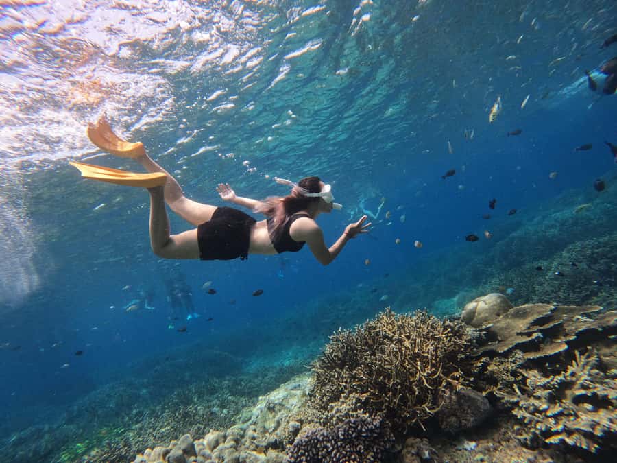 Bali: Swim with Manta Rays in Penida, Optional Lunch & Kayak - Lunch beside the mangrove forest