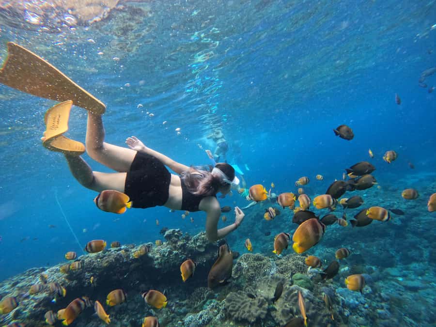 Bali: Swim with Manta Rays in Penida, Optional Lunch & Kayak - Kayaking through Green Lagoon Lembongan