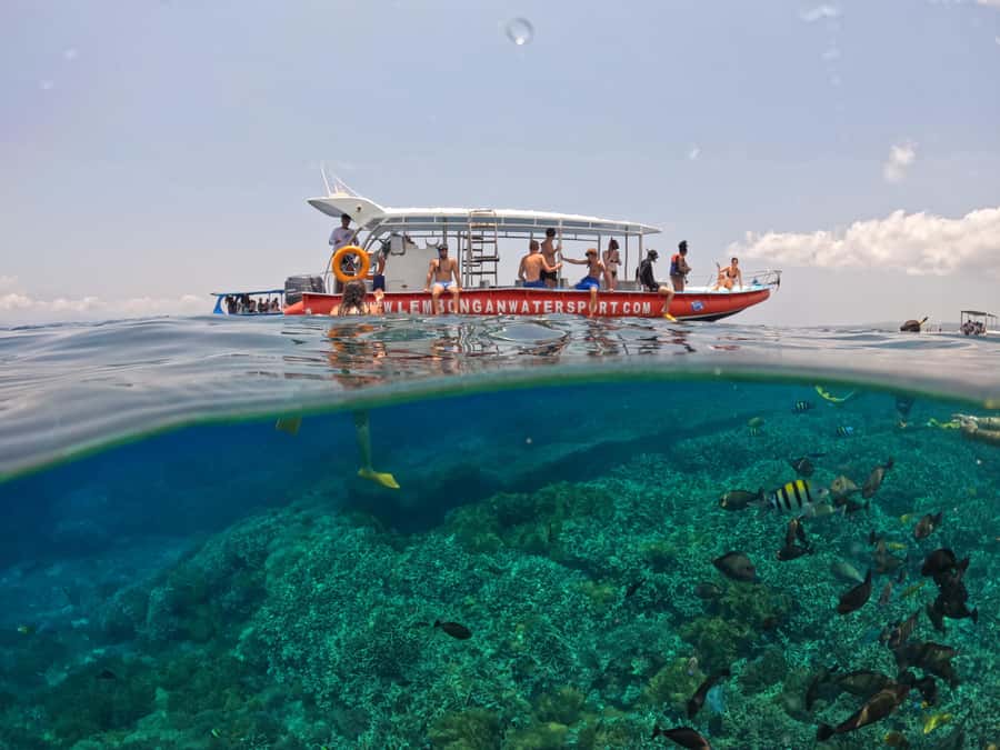 Bali: Swim with Manta Rays in Penida, Optional Lunch & Kayak - How safe and comfortable is the operation?