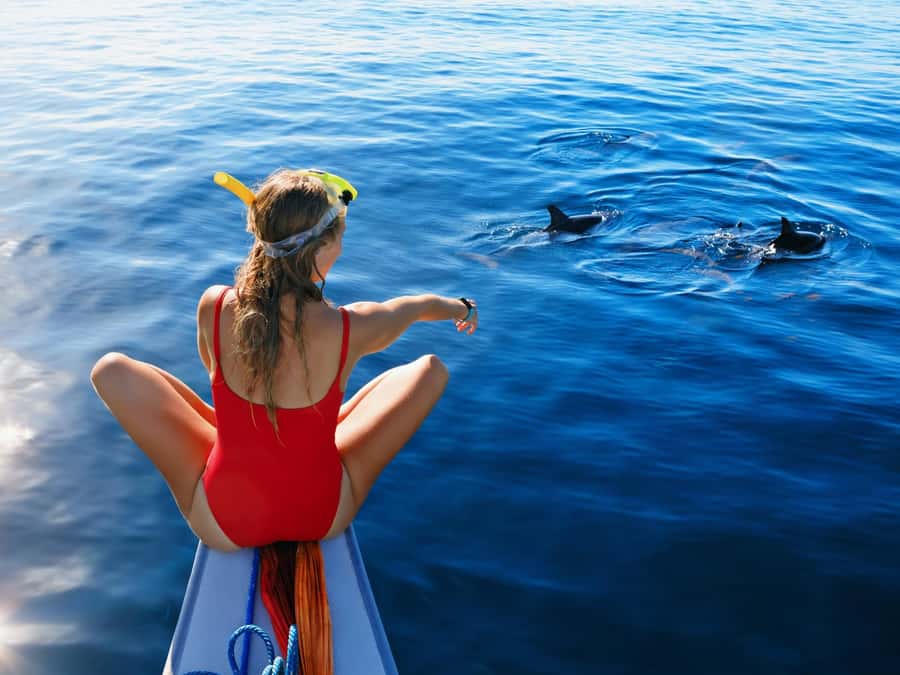 Bali: Swimming with dolphin & waterfal tour, all inclusive. - What the $92 price really covers