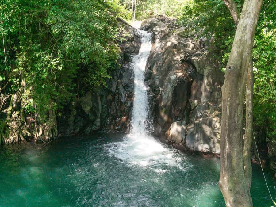 Bali: Swimming with dolphin & waterfal tour, all inclusive. - Leaving before sunrise for Lovina dolphins