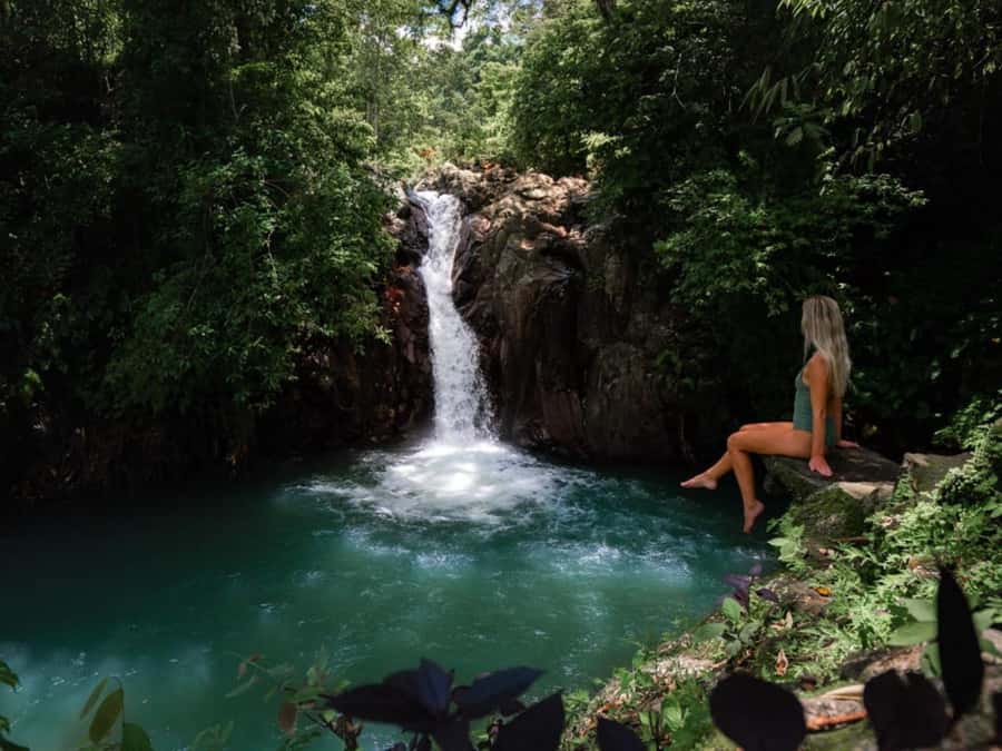 Bali: Swimming with dolphin & waterfal tour, all inclusive. - Learning about Balinese coffee