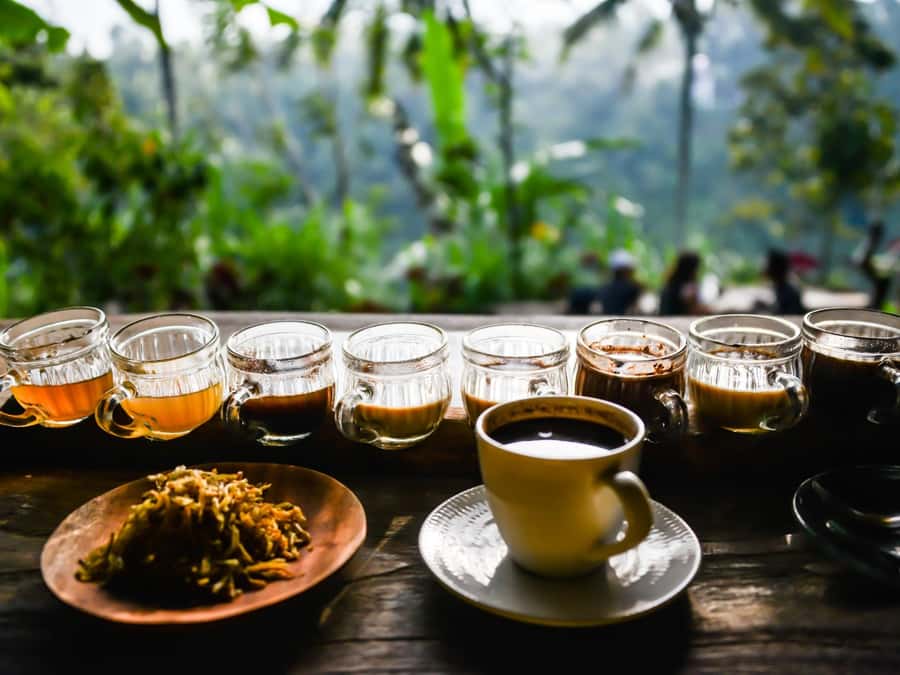 Bali: Swimming with dolphin & waterfal tour, all inclusive. - What to pack for sea, forest, and coffee