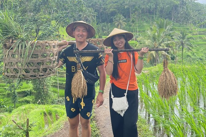 Bali Swing Hot Spring And Waterfall Private Guided Tour - Mt. Batur and Kintamani: cool air and a broad view