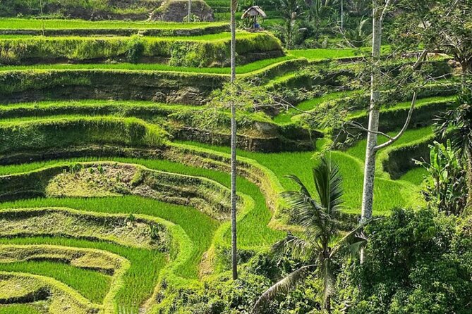 Bali Swing, Monkey Forest and Waterfall Private Tour - Tibumana Waterfall for a quieter swim