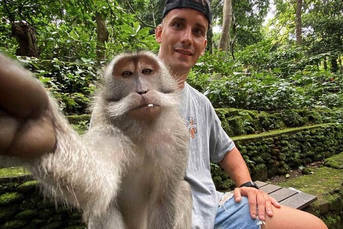 Bali Swing, Monkey Forest and Waterfall Private Tour - Drivers, vehicles, and the human side of the tour
