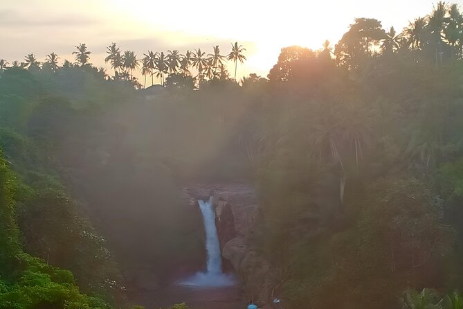Bali Swing, Monkey Forest & Temples Guided Tour - Tegallalang, rice terraces and optional swing photos