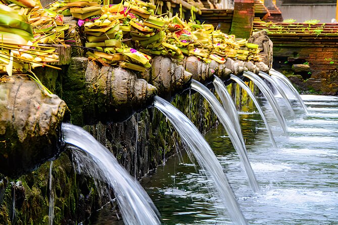 Bali Swing, Monkey Forest & Temples Guided Tour - Who will get the most from this tour
