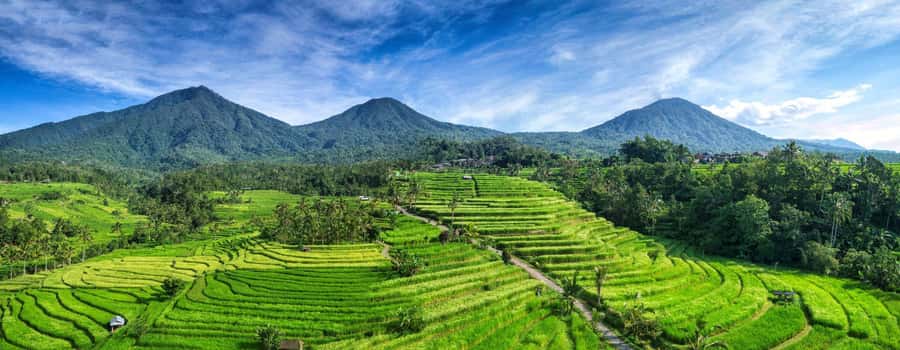 Bali: Taman Ayun, Jatiluwih, Ulun Danu, and Monkey Forest - Jatiluwih, where the rice terraces are the main event