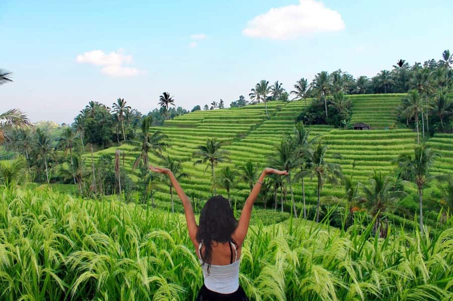 Bali: Tanah Lot, Jatiluwih Terrace, & Ulundanu Beratan Tour - The guide can shape the entire day