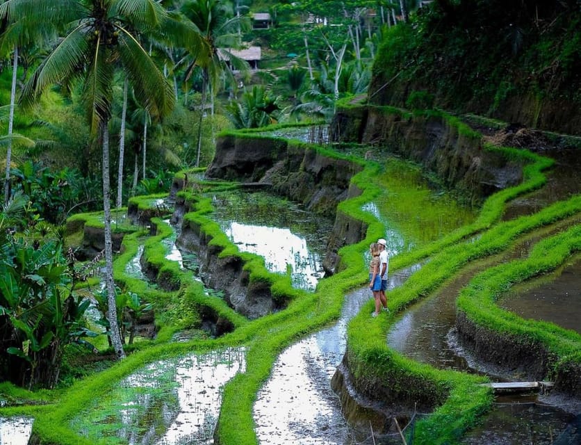 Bali: Tanah Lot, Jatiluwih Terrace, & Ulundanu Beratan Tour - Who should book this Bali day trip?