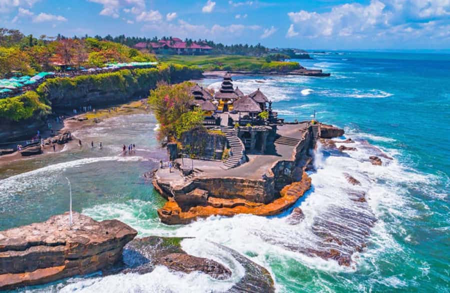 Bali : Tanah Lot Temple Tour with Sunset Dinner - Alas Kedaton, where monkeys roam the temple grounds