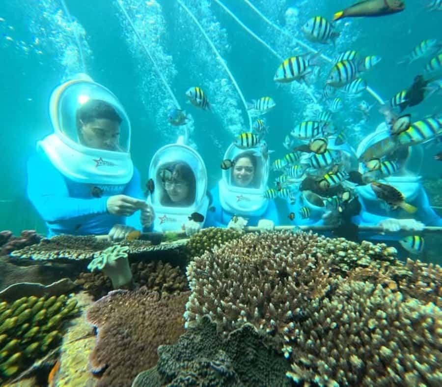 Bali: Tanjung Benoa Jet Ski or Sea walker Adventure - Is this Bali water activity worth booking?