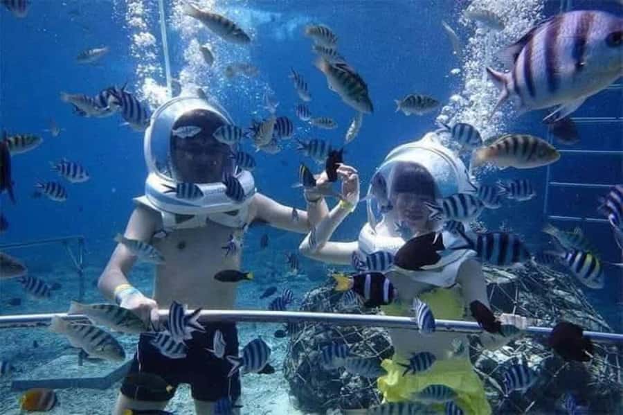 Bali: Tanjung Benoa Jet Ski or Sea walker Adventure - FAQ