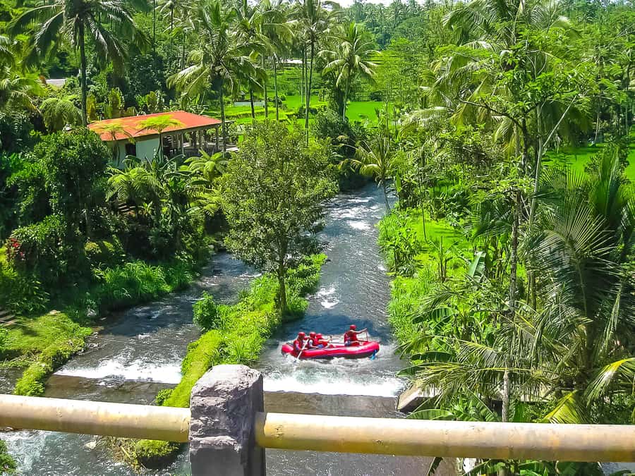 Bali: Telaga Waja White Water River Guided Rafting & Lunch - A realistic view of the difficulty