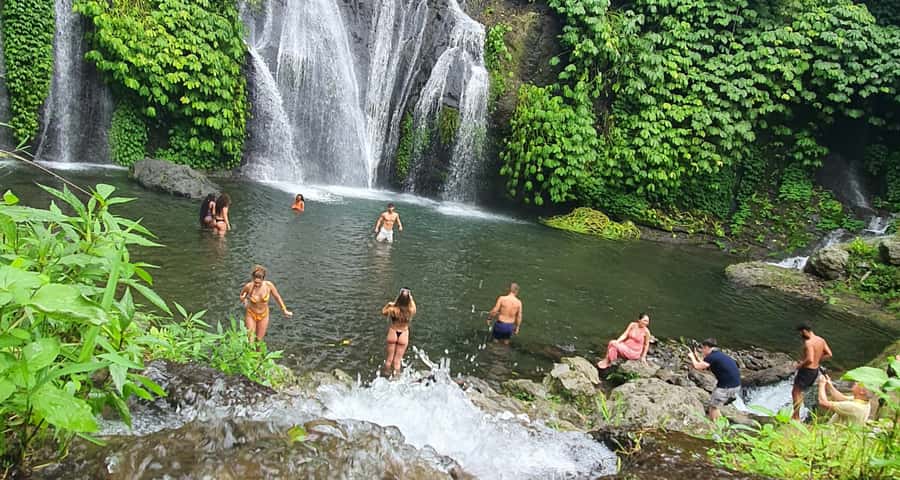 Bali: Temple Lake, Jungle Waterfall, Rice Field & Tanah Lot - The Coffee Plantation Stop