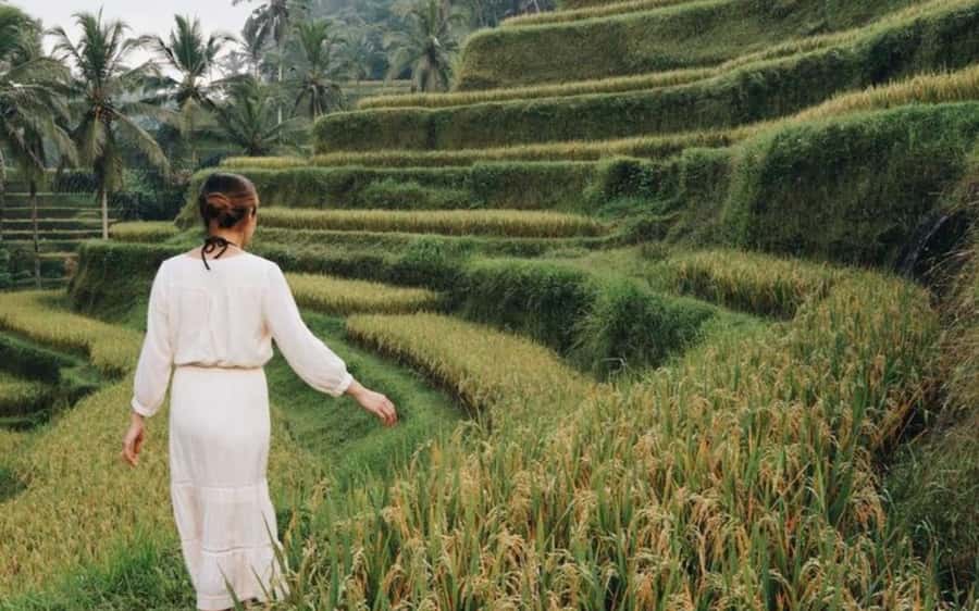 Bali: Temple Lake, Jungle Waterfall, Rice Field & Tanah Lot - Tanah Lot at the End of the Road