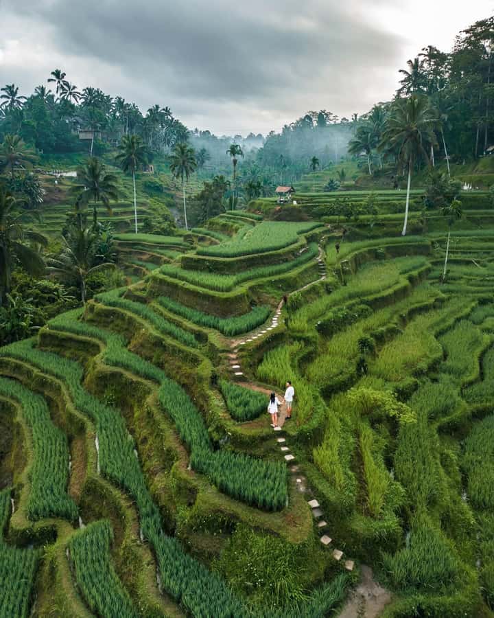 Bali: Temples, waterfall, and Rice Terrace Guided Tour - Bali Swing is optional, popular, and not included