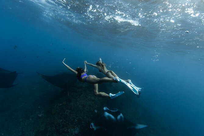Bali to Nusa Penida: Premium Private Full Day Tour-All Inclusive - The cost and what you receive for it