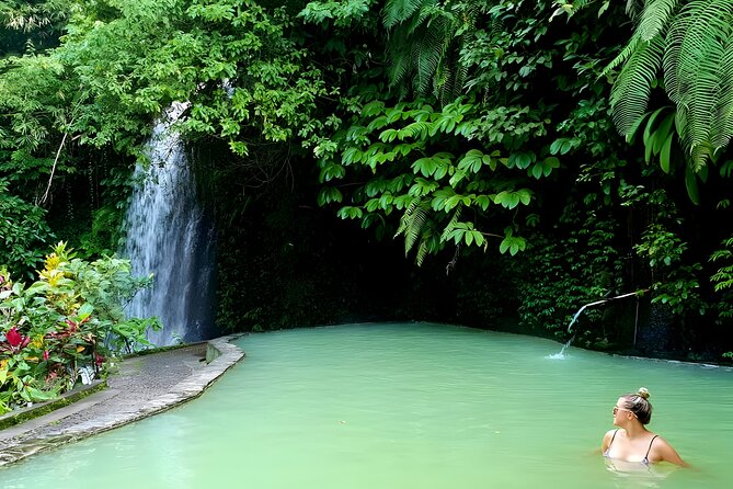 Bali Tour: Lake, Iconic Gate, Temple, Hot Spring and Rice Terrace - Tanah Lot and the final coastal landmark