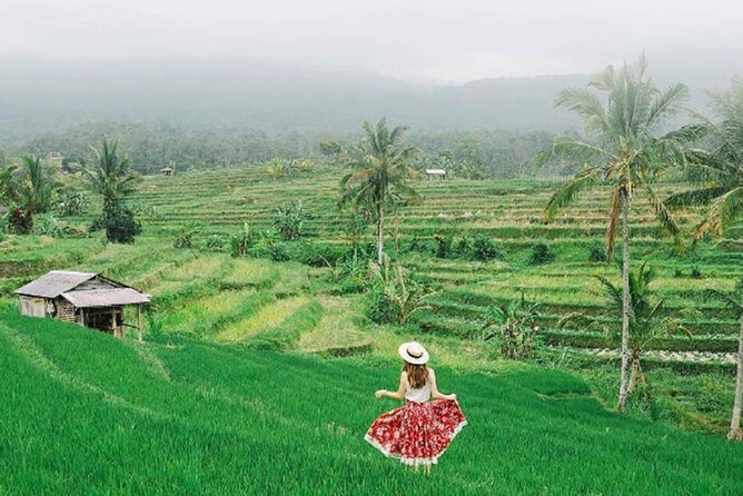 Bali Tour Package 9 Days 8 Nights - Nusa Penidas dramatic west coast