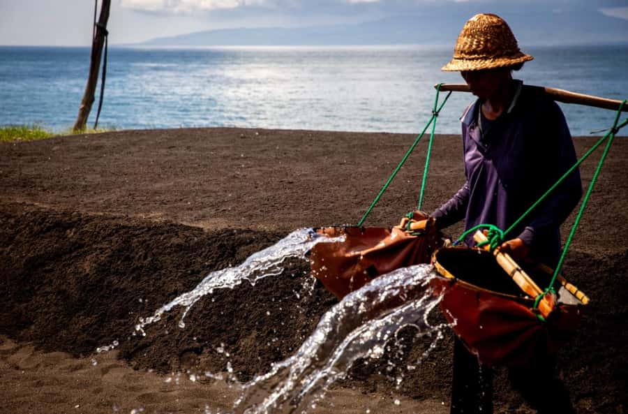 Bali: Traditional Villages, Salt Farm & Tirta Gangga Tour - Who will enjoy this tour most