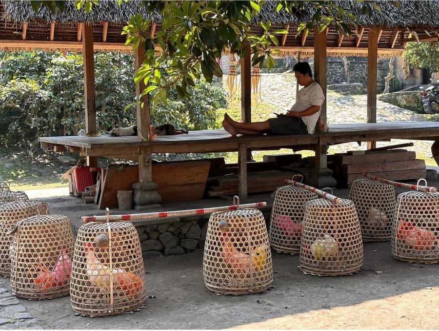 Bali: Traditional Villages, Salt Farm & Tirta Gangga Tour - Tenganan Village and protected customs