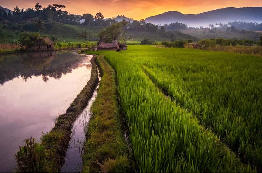 Bali: Traditional Villages, Salt Farm & Tirta Gangga Tour - Candidasa: ocean views and the lunch decision