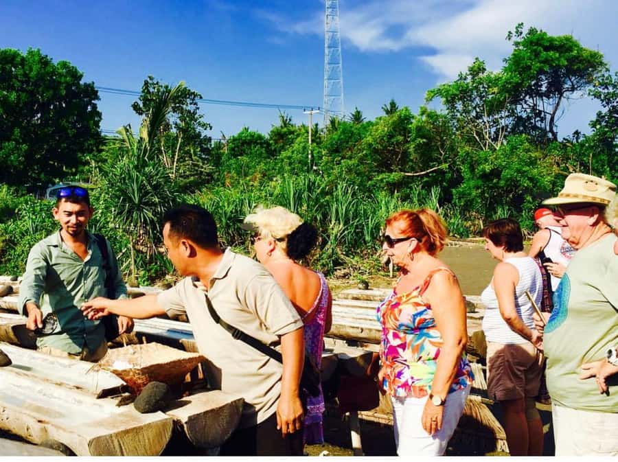 Bali: Traditional Villages, Salt Farm & Tirta Gangga Tour - Guides, transport, and the human side of the day