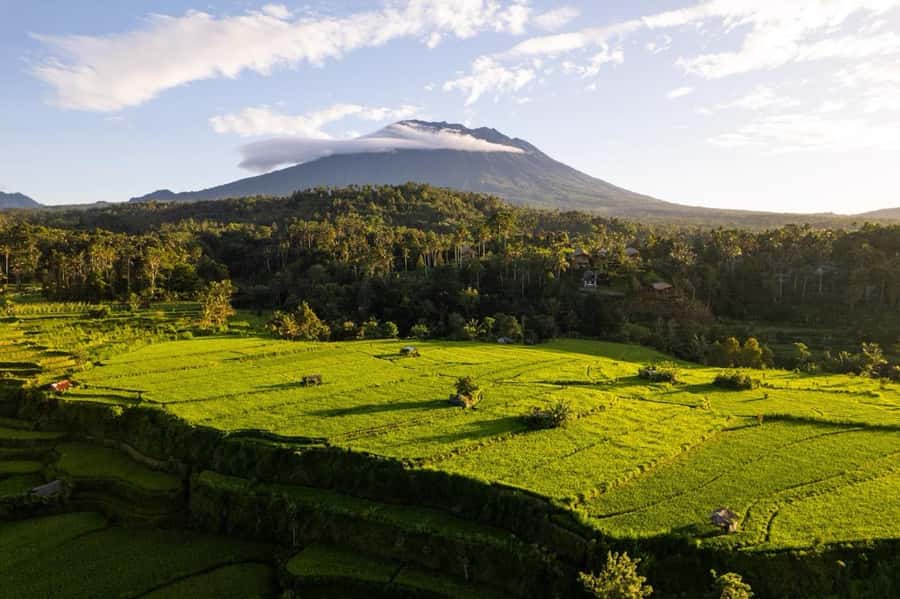 Bali: Traditional Villages, Salt Farm & Tirta Gangga Tour - Sidemen Village: a rural opening to the day